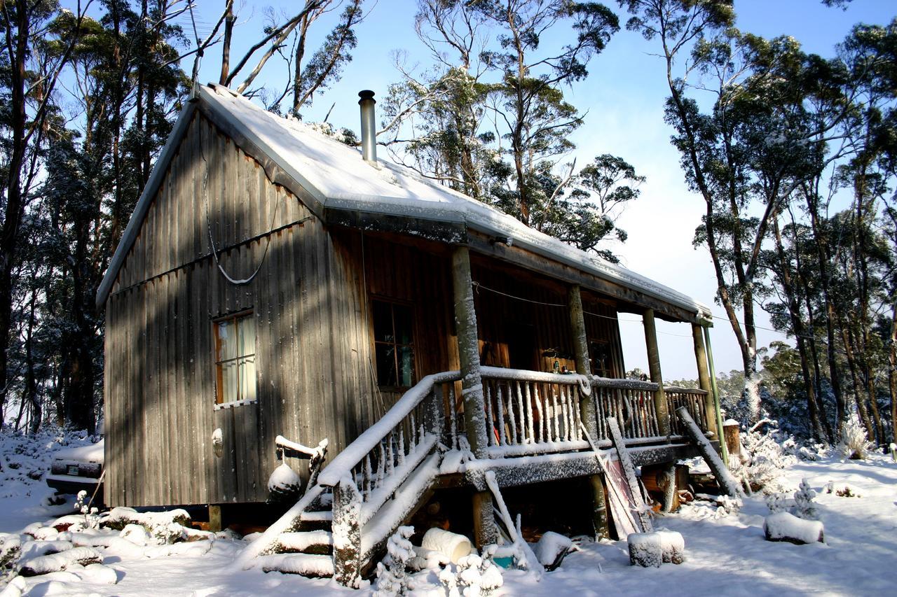 Wombat Cabin Βίλα Moina Εξωτερικό φωτογραφία