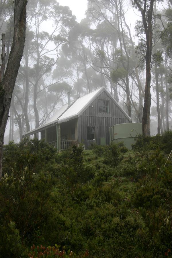 Wombat Cabin Βίλα Moina Εξωτερικό φωτογραφία