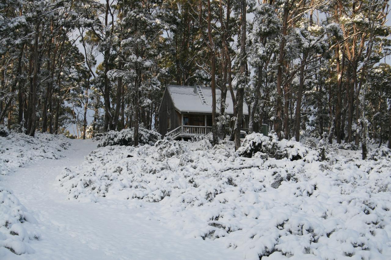 Wombat Cabin Βίλα Moina Εξωτερικό φωτογραφία